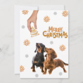 Weihnachtskekse Dackel Welpen Hund Feiertagskarte (Vorderseite)