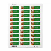 Weihnachtskekse II Farbenfrohe Feiertage Backen (Vorne)