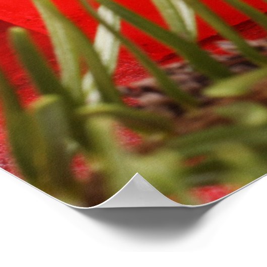 Weihnachtskerzenplakat Poster (Ecke)