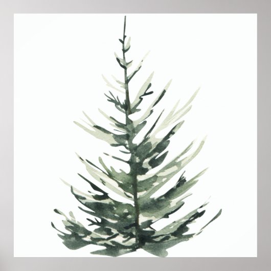 Weihnachtskiefer Poster (Vorne)