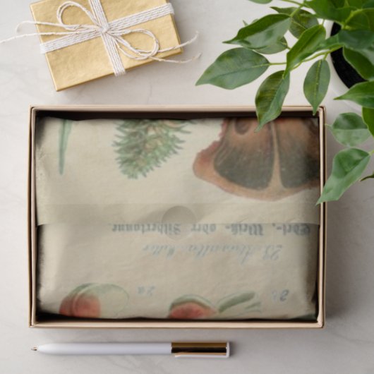 Weihnachtskiefer Seidenpapier (Geschenk)