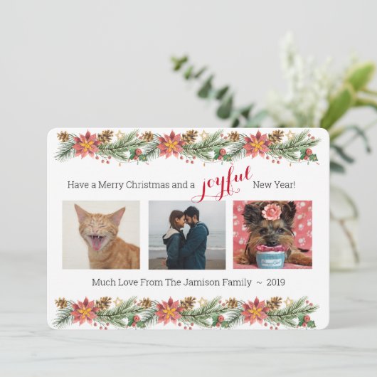 Weihnachtskiefer und Poinsettias - Freude (Stehend Vorderseite)