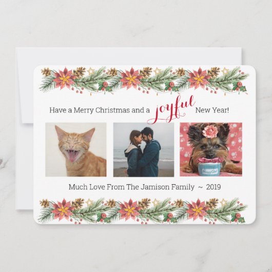 Weihnachtskiefer und Poinsettias - Freude (Vorderseite)