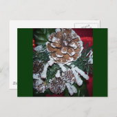 Weihnachtskiefernkegel Feiertagspostkarte (Vorne/Hinten)