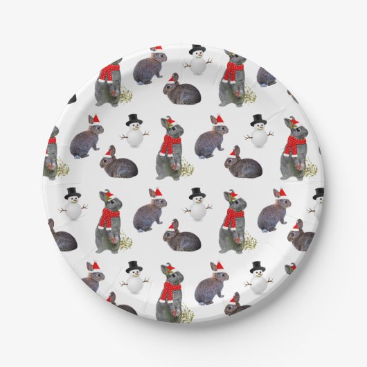Weihnachtskits Party Papierplatte Pappteller (Vorderseite)