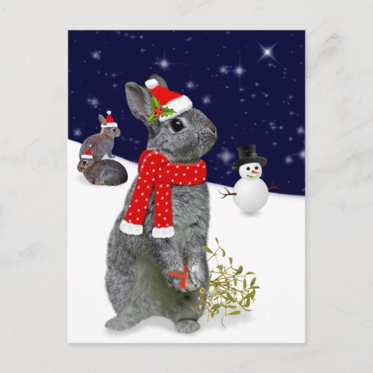 Weihnachtskits Postkarte (Vorderseite)