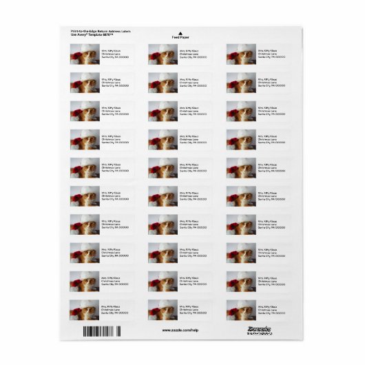 Weihnachtskitt in Weihnachtsmannmütze Rücksendeadr (Vorne)