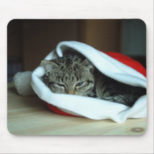 Weihnachtskitt Mousepad