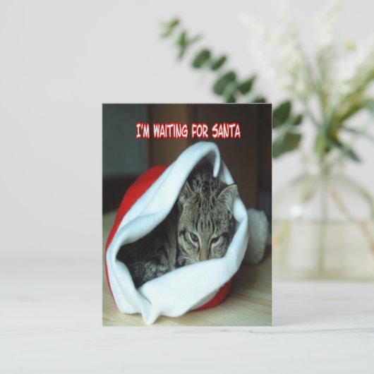 Weihnachtskitt Postkarte (Stehend Vorderseite)