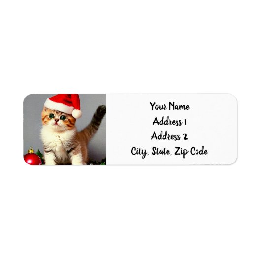 Weihnachtskitten in Weihnachtsmannmütze (Vorne)