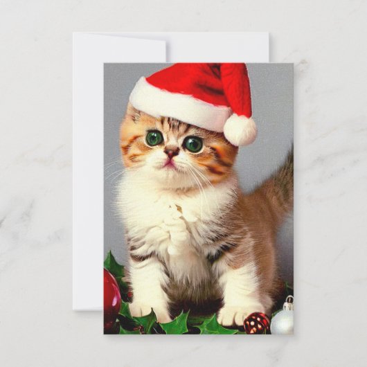 Weihnachtskitten in Weihnachtsmannmütze Dankeskarte (Vorderseite)
