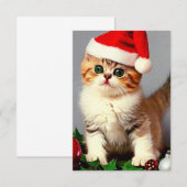 Weihnachtskitten in Weihnachtsmannmütze Dankeskarte (Vorne/Hinten)