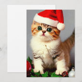 Weihnachtskitten in Weihnachtsmannmütze Feiertagskarte (Vorne/Hinten)