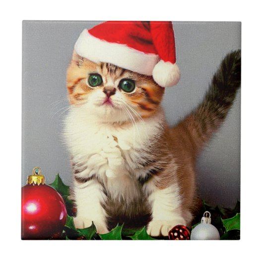 Weihnachtskitten in Weihnachtsmannmütze Fliese (Vorderseite)
