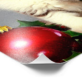 Weihnachtskitten in Weihnachtsmannmütze Fotodruck (Ecke)