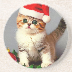 Weihnachtskitten in Weihnachtsmannmütze Getränkeuntersetzer
