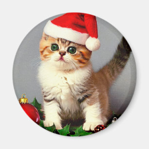 Weihnachtskitten in Weihnachtsmannmütze Magnet