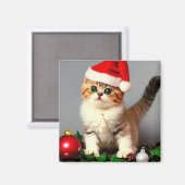 Weihnachtskitten in Weihnachtsmannmütze Magnet (Vorderseite/Rückseite)