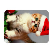 Weihnachtskitten in Weihnachtsmannmütze Magnet (Horizontal)