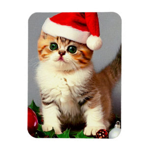 Weihnachtskitten in Weihnachtsmannmütze Magnet