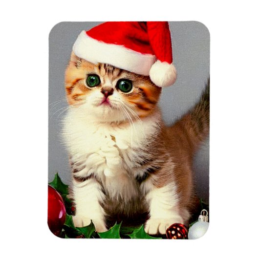 Weihnachtskitten in Weihnachtsmannmütze Magnet (Vertikal)