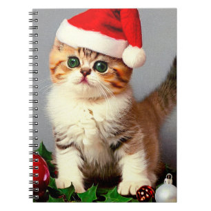Weihnachtskitten in Weihnachtsmannmütze Notizblock
