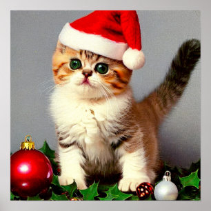 Weihnachtskitten in Weihnachtsmannmütze Poster