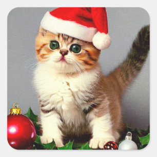 Weihnachtskitten in Weihnachtsmannmütze Quadratischer Aufkleber