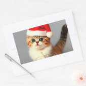 Weihnachtskitten in Weihnachtsmannmütze Rechteckiger Aufkleber (Umschlag)