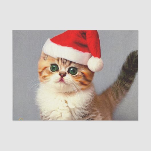 Weihnachtskitten in Weihnachtsmannmütze Seidenpapier (Vorderseite)