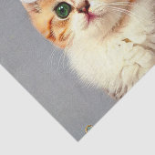 Weihnachtskitten in Weihnachtsmannmütze Seidenpapier (Ausschnitt)