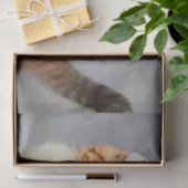 Weihnachtskitten in Weihnachtsmannmütze Seidenpapier (Geschenk)