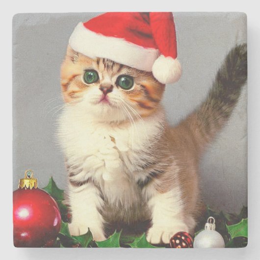 Weihnachtskitten in Weihnachtsmannmütze Steinuntersetzer (Vorderseite)