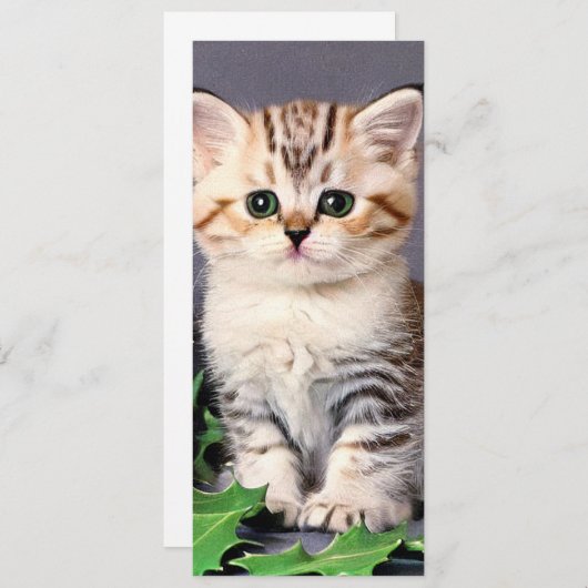 Weihnachtskitten und Holly Card (Vorne/Hinten)