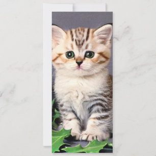 Weihnachtskitten und Holly Card