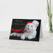 Weihnachtskitty Feiertagskarte (Vorderseite)