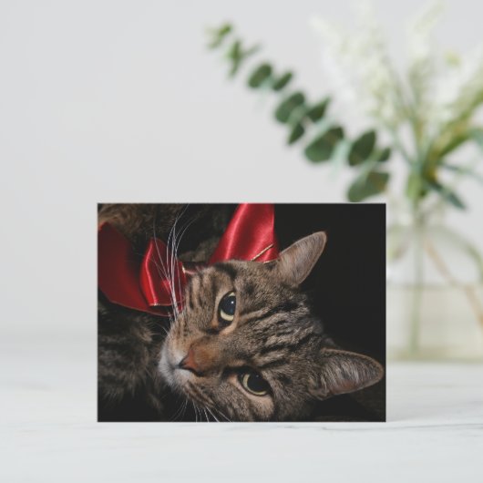 Weihnachtskitty Feiertagspostkarte (Stehend Vorderseite)