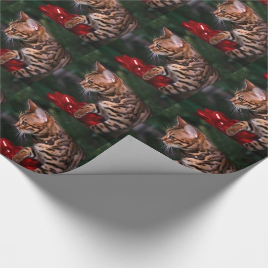 Weihnachtskitty-Foto (inländische bengalische Geschenkpapier (Ecke)