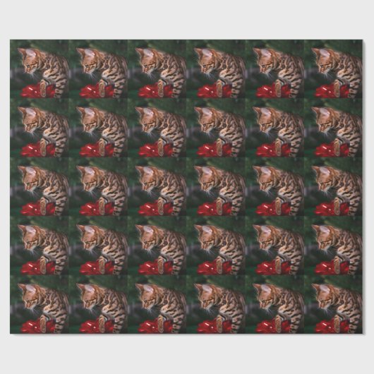 Weihnachtskitty-Foto (inländische bengalische Geschenkpapier (Flach)