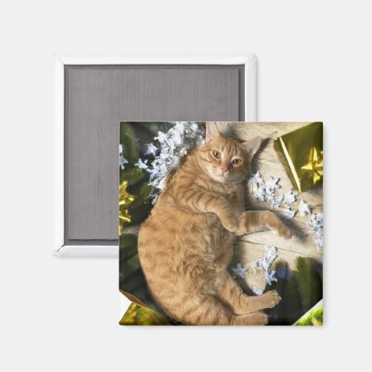Weihnachtskitty Magnet (Vorderseite/Rückseite)