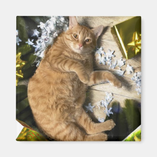 Weihnachtskitty Magnet (Vorne)