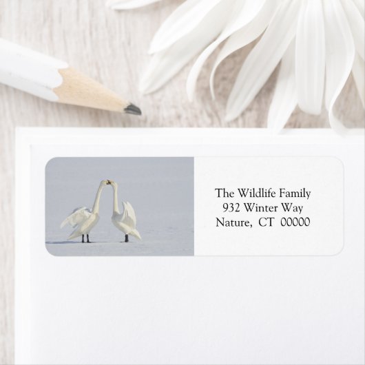 Weihnachtskleber (Insitu)