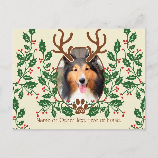 Weihnachtsklingeln für Hunde / Katze Persönliches Feiertagspostkarte (Vorderseite)