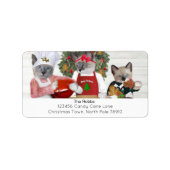 Weihnachtskochtelei Adressaufkleber (Vorne)