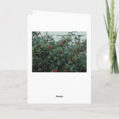 Weihnachtskranz an der Tür Feiertagskarte (Rückseite)