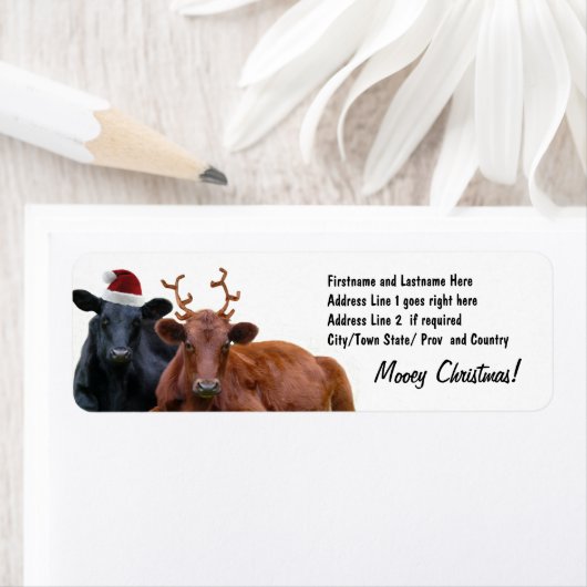 Weihnachtskühe in Weihnachtsmannmütze und Antler (Insitu)