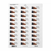 Weihnachtskühe in Weihnachtsmannmütze und Antler (Vorne)