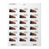 Weihnachtskühe in Weihnachtsmannmütze und Antler Adressaufkleber (Vorne)