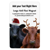 Weihnachtskühe in Weihnachtsmannmütze und Antler Magnet (Vertikal)