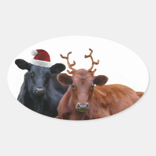 Weihnachtskühe in Weihnachtsmannmütze und Antler Ovaler Aufkleber (Vorderseite)